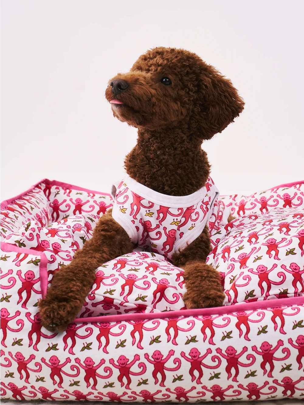Roller Rabbit Dog Pajamas